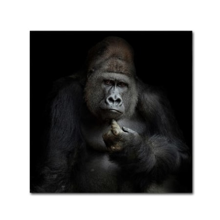 Trademark Fine Art Antje Wenner-Braun 'Imho' Canvas Art, 35x35 1X00234-C3535GG